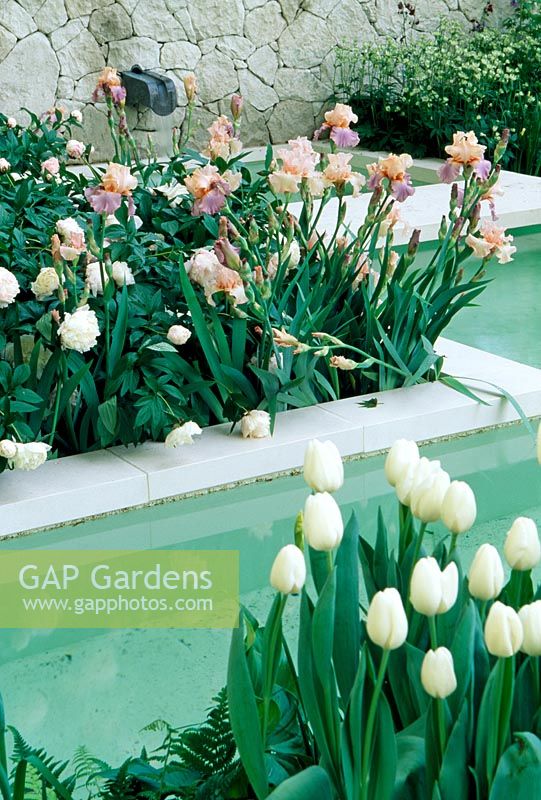View across pool with white Tulipa and Iris. The Laurent  Perrier Garden designed by Jinny Blom. 2006 Chelsea Flower Show
