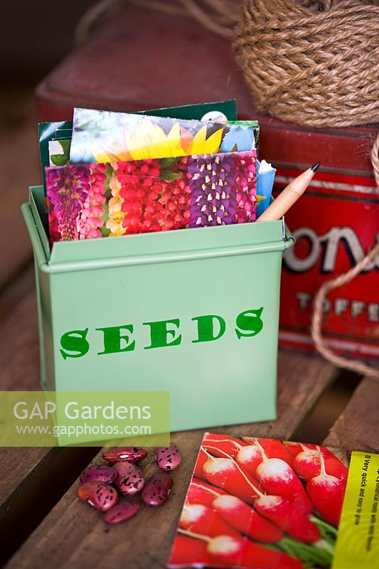 Fairtrade seed tin with seed packets, garden string and Runner bean seed 'Prizewinner stringless' on wooden surface