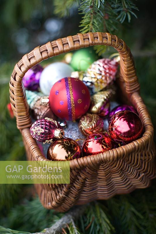 Christmas decorations in wicker basket and pine tree