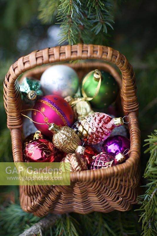 Christmas decorations in wicker basket on pine tree