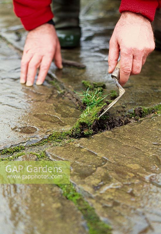 Path cleaning - With a trowel, carefully remove the weeds, making sure you remove all of the roots