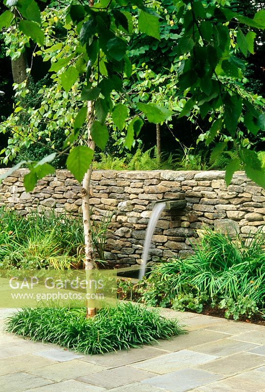 Modern garden with Betula - Birch tree, dry stone retaining wall with waterfall. The Odrich Garden, Greenwich, Connecticut