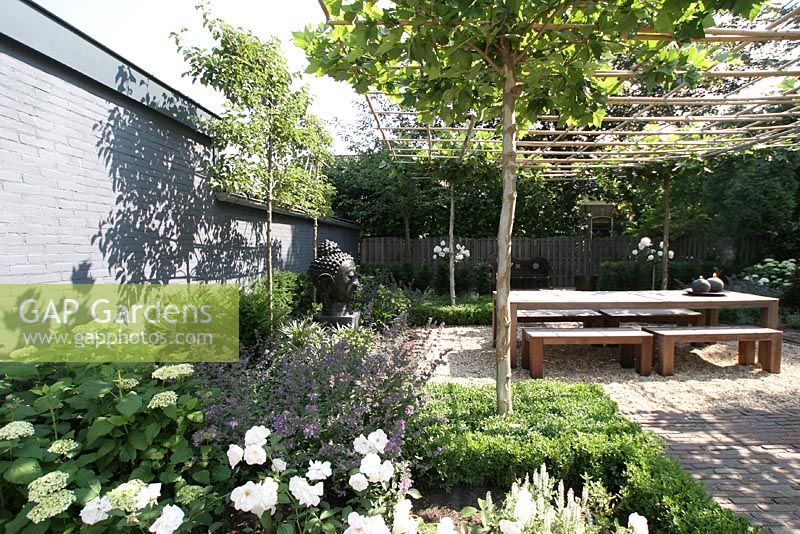 Urban meditation garden. Two Pyrus communis and Hydrangea 'Annabelle' near grey wall. White and purple Salvia in border. Rosa 'Schneewitchen' planted in low hedges of Buxus. Bamboo pergola with trained Platanus hispanica creates a roof.