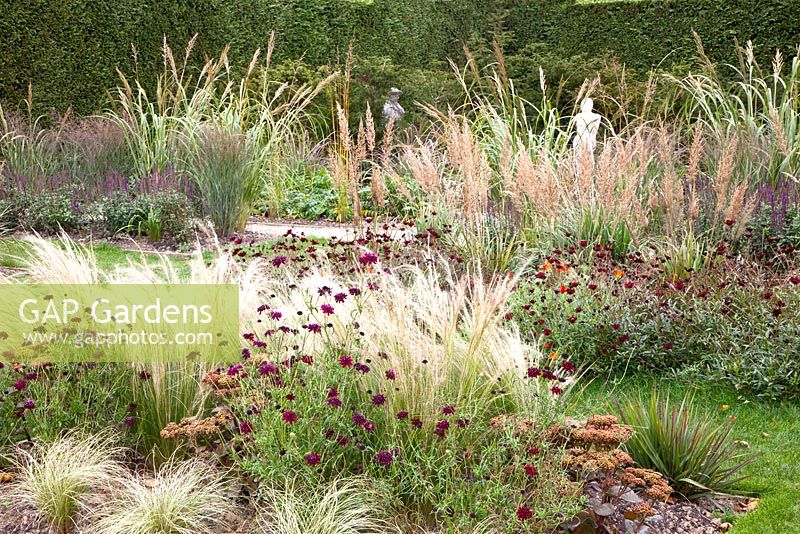 Stipa tenuissima, Calamagrostis brachytricha, Carex comans 'Frosted Curls', Scabiosa atropurpurea 'Chat Noir', Cosmos atrosanguineus and Sedum matrona 