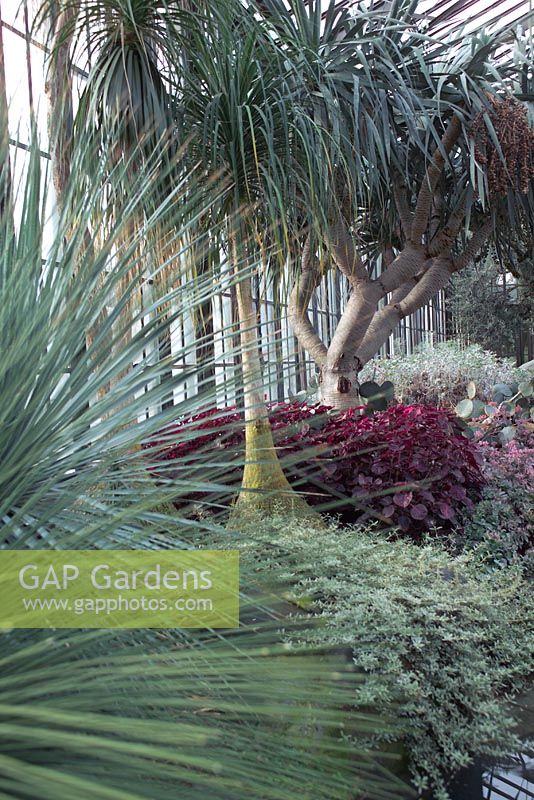 The Silver Garden - Longwood Gardens, Kennet Square, Pennyslvania