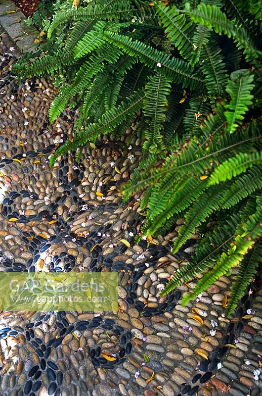 Mosaic pebble paving with ferns