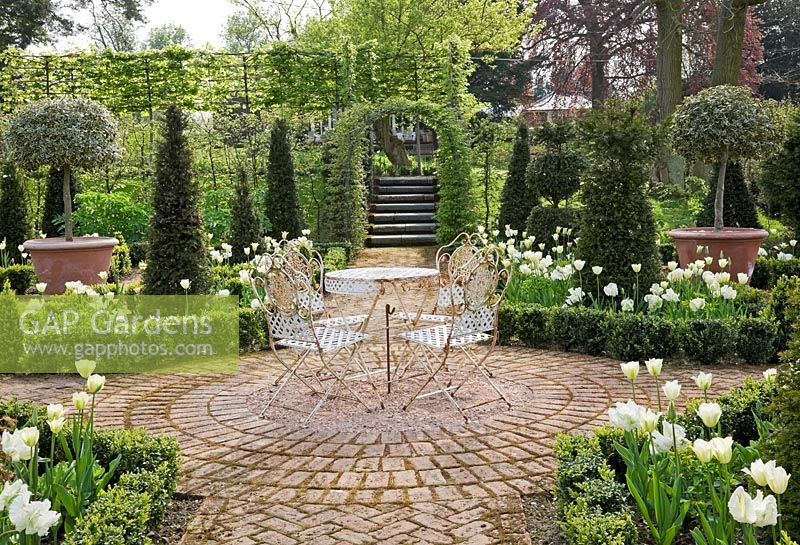 Parterre with Buxus edged beds of Tulipa 'Spring Green', Florosa', 'Groenland' and 'Super Parrot', Yew pyramids and standard variegated Holly trees, rusted iron chairs and table on circular patio - Northend