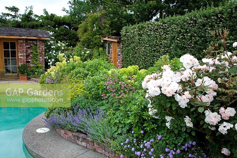 Raised flowerbed near swimming pool - Breedenbroek, New Zealand