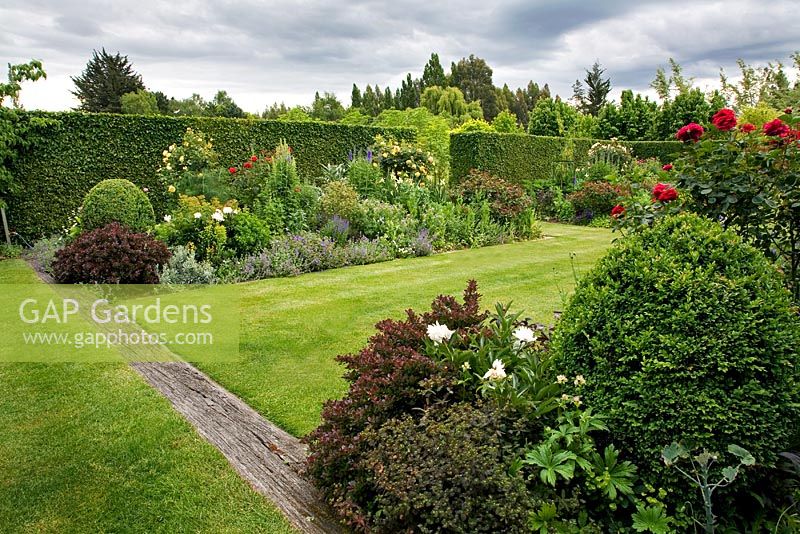 Flowerbeds with roses and clipped hedges - Breedenbroek, New Zealand