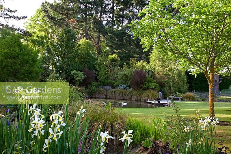 Large pond - Breedenbroek, New Zealand