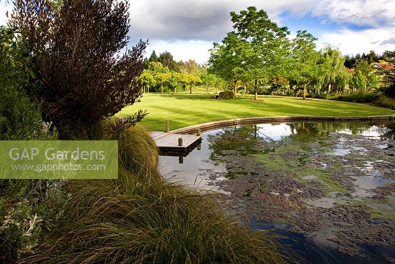 Pond surrounded by grasses, shrubs and trees - Breedenbroek, New Zealand