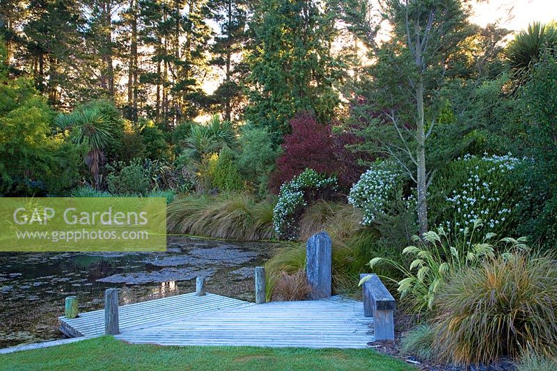 Pond with jetty surrounded by trees and shrubs - Breedenbroek, New Zealand