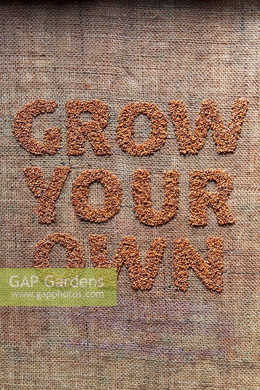 Lepidium sativum - Cress seeds spelling the phrase 'Grow your own' on a hessian sack