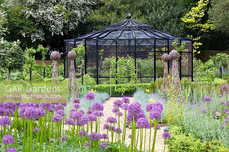 Potager with fruit cage, obelisks and Alliums in foreground