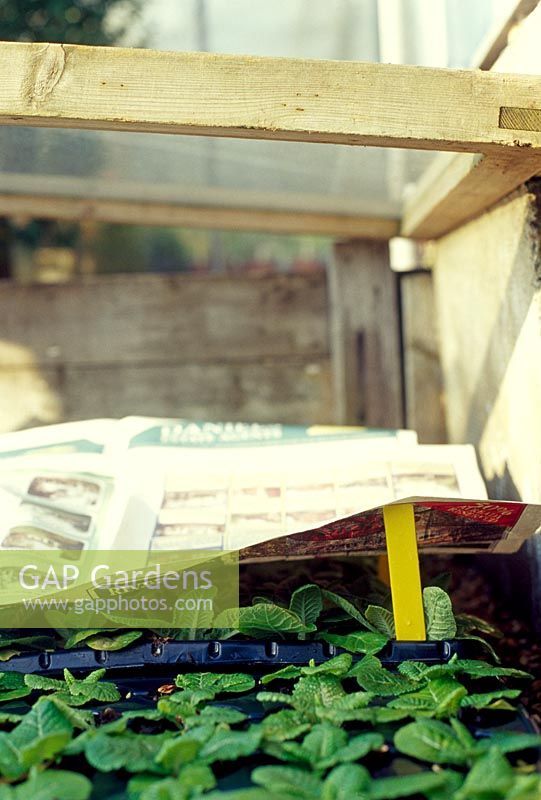 Soil warming. During cold periods, newspaper can be laid over the glass cover on the cold frame, this provides extra insulation.