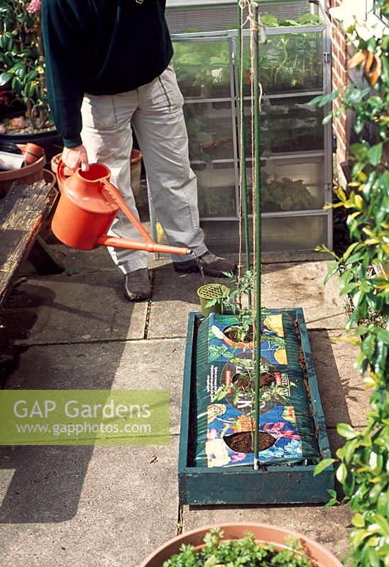 A frame provides a support system for tall plants in grow bags