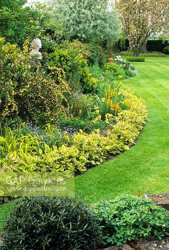 Mixed border with yellow foliage and flower theme. Symphytum edging beside neatly mown lawn, Berberis, Erysimum cheiri 'Harpur Crewe', Mahonia. Classical figure as focal point