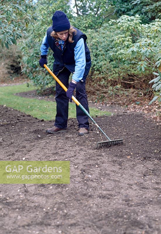 Sowing a new lawn - Rake lightly to partially cover the seed