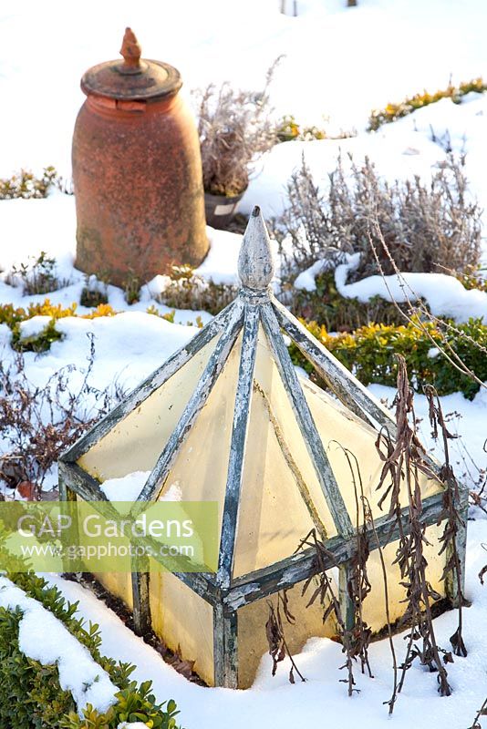 Cloche in winter garden