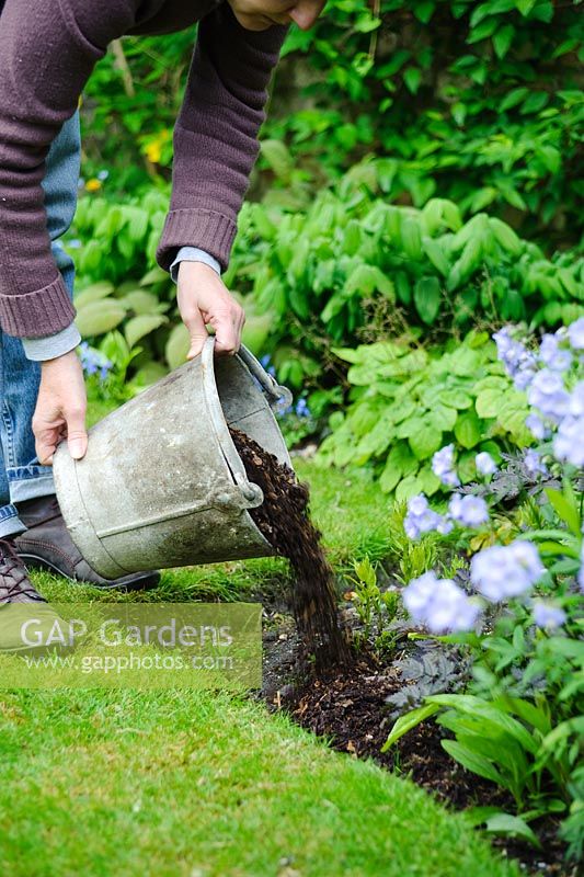 Woman mulching plants in a border with garden compost