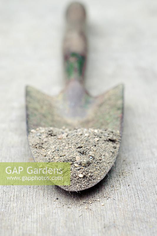 Sandy soil sample on vintage garden trowel