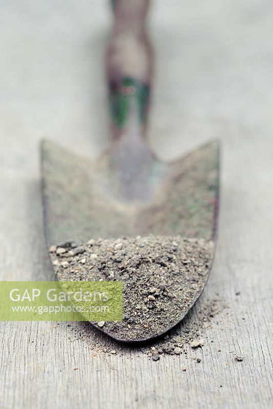 Sandy soil sample on vintage garden trowel