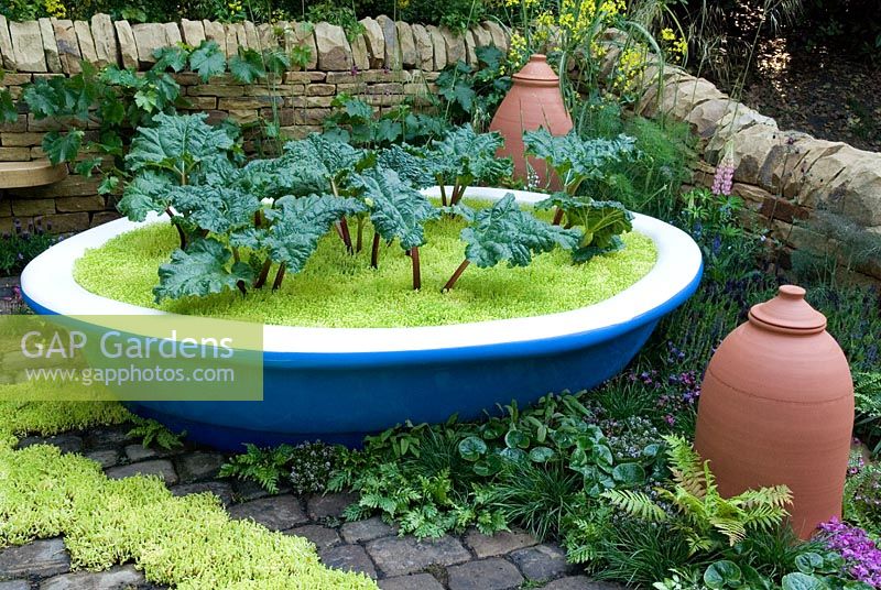 Welcome to Yorkshire's Rhubarb Crumble and Custard Garden, Silver medal winner at RHS Chelsea Flower Show 2010
