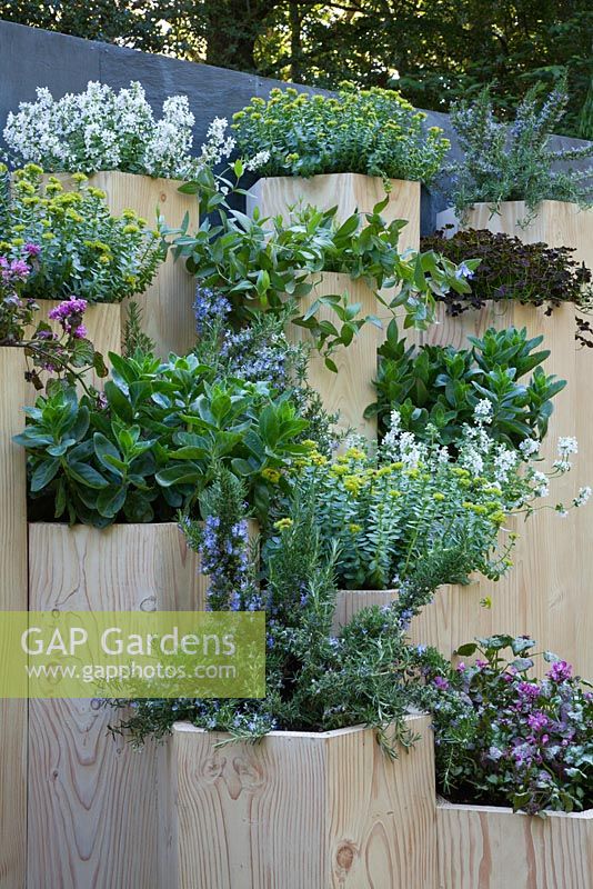 Trifolium, Clematis and Sedum in terraced hexagonal planters - Global Stone Bee Friendly Plants Garden, Silver medal winner at RHS Chelsea Flower Show 2010 