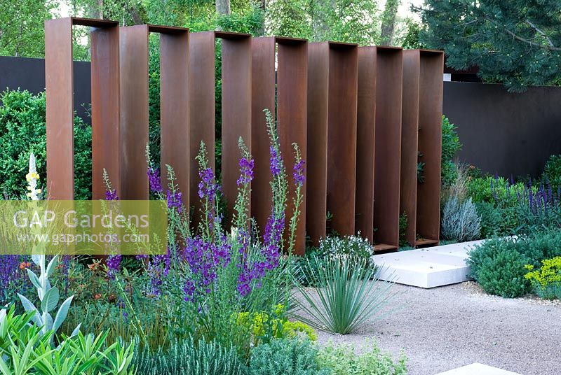 Verbascum phoenicum 'Violetta' in front of Corten steel screens. The Daily Telegraph Garden, Best in Show, Gold medal winner, Chelsea Flower Show 2010 