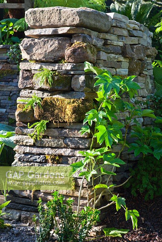 Drystone wall in The Stephen Hawking Garden for Motor Neurone Disease, Bronze medal winner, RHS Chelsea Flower Show 2010
