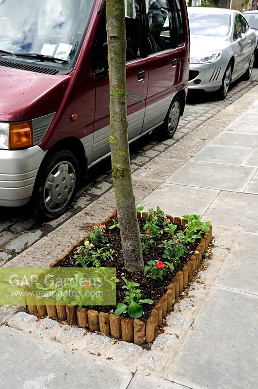 Tree pit in a Hackney street planted with annual flowers by guerrilla gardeners, London, UK