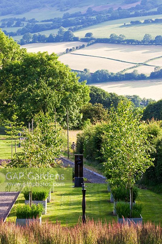 Betula underplanted with Irises in planters next to Gallery, Calamagrostis x acutiflora 'Overdam' in foreground - Monnow Valley Arts, Waterstone, Herefordshire 