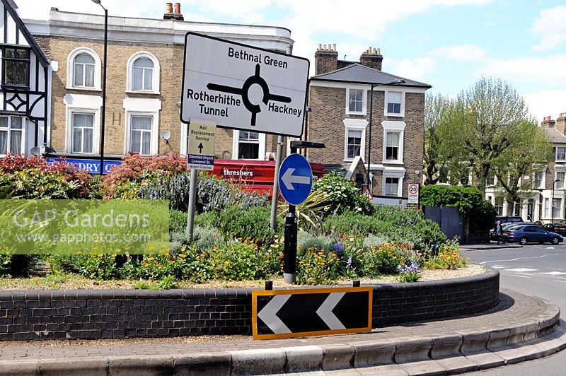Municipal planting of shrubs and flowers on a Hackney Roundabout London UK 