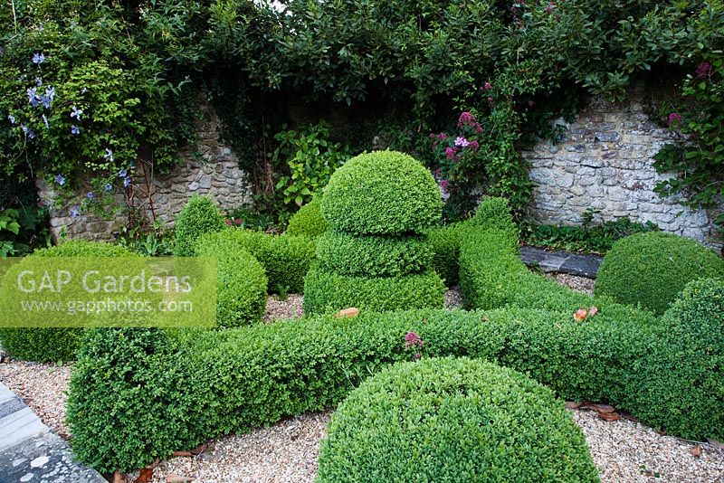 Clipped Box in parterre - Rymans, Sussex