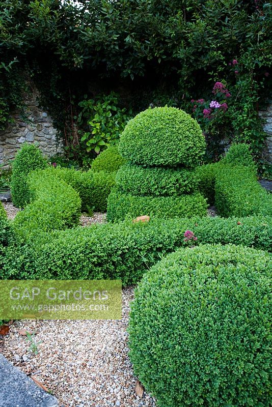 Clipped Box in parterre - Rymans, Sussex