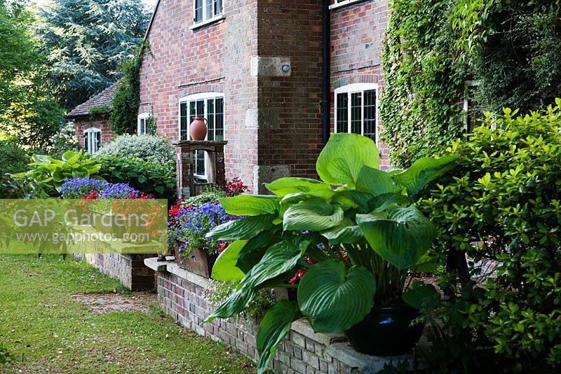 Mixed summer containers and Hosta on low brick wall in front of house - Rymans, Sussex

