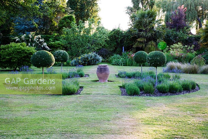 Shaped Box and Lavandula, urn as focal point - Rymans, Sussex
