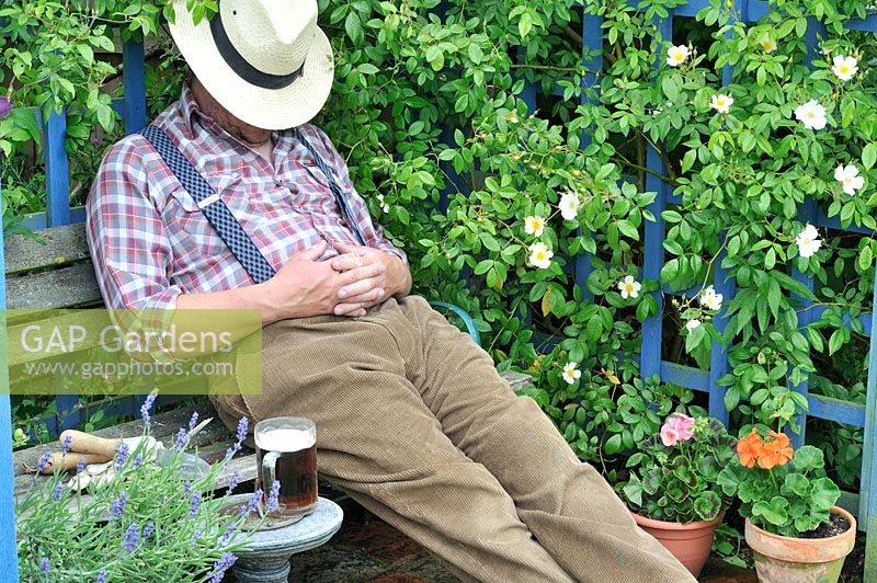 Middle aged gardener sleeping in garden arbour with a glass of beer, Norfolk, UK, June