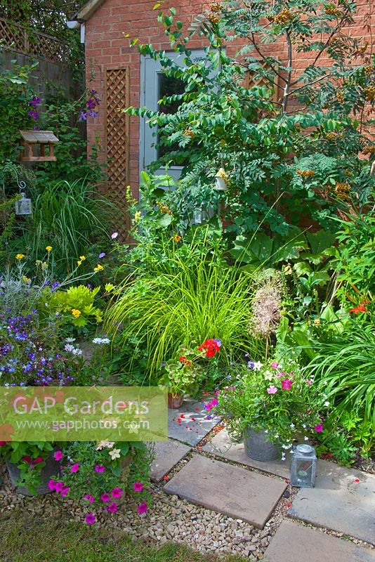 Small garden in summer using bedding in pots, alongside perennials for bursts of colour.  Petunia, Nicotiana, Lobelia, Pelargoniums