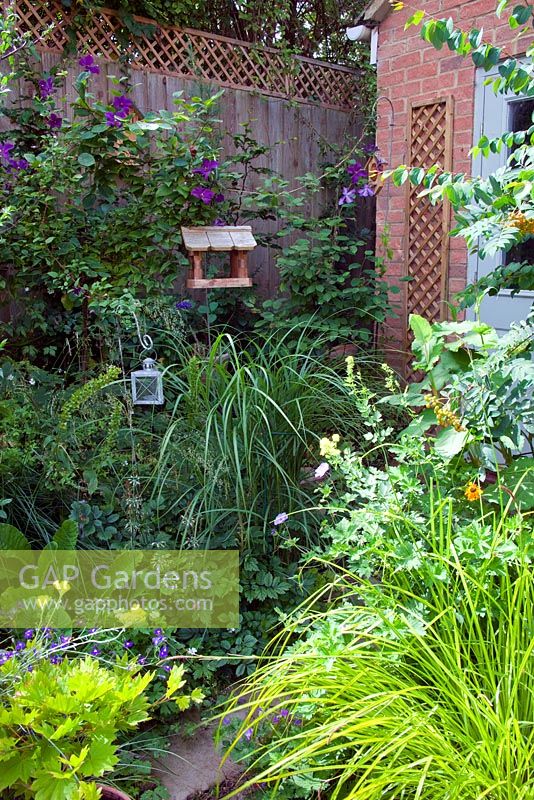 Lush planting along a path in small garden. Hanging bird table and lantern