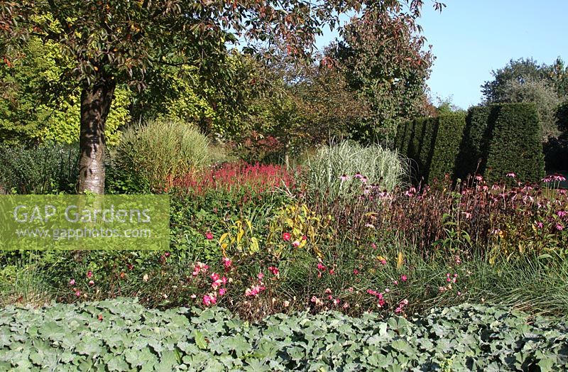Formal garden with borders and topiary