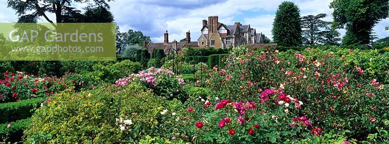 The Rose Garden at Loseley Park