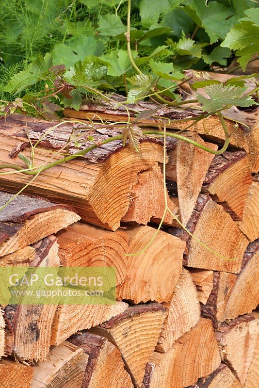 A log pile wall.  'Food 4 Thought' - Gold Medal Winner - RHS Hampton Court Flower Show 2010 