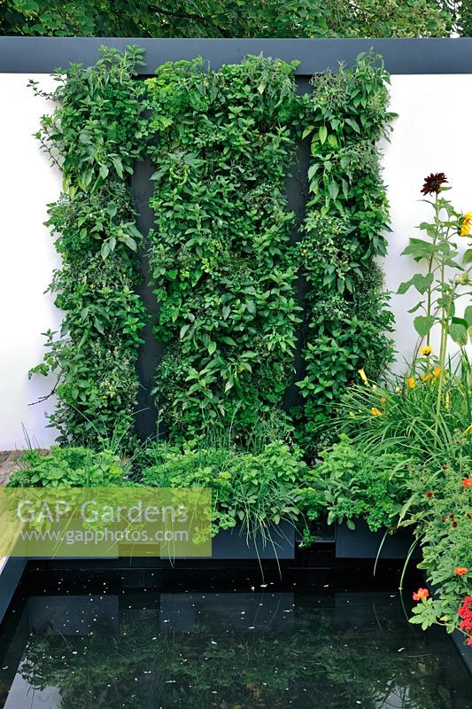 Vertical planted wall with Capsicum - Chilles and Peppers, Tumbling Tomatoes and Herbs. 'Food 4 Thought' - Gold Medal Winner - RHS Hampton Court Flower Show 2010 
 