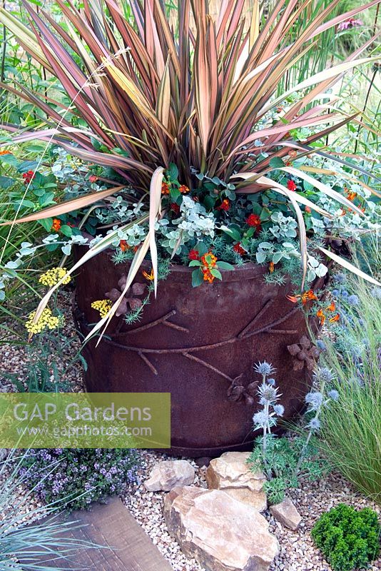 Planter with Phormium 'Pink Panther', Geum 'Cooky', Helichrysum petiolare 'Silver', Lotus berthelotii 'Fire Cracker', recycled crushed ceramic gravel planted with Thyme and Eryngium bourgatii - 'The Fire Pit Garden' - Silver Medal Winner at the RHS Hampton Court Flower Show 2010 
