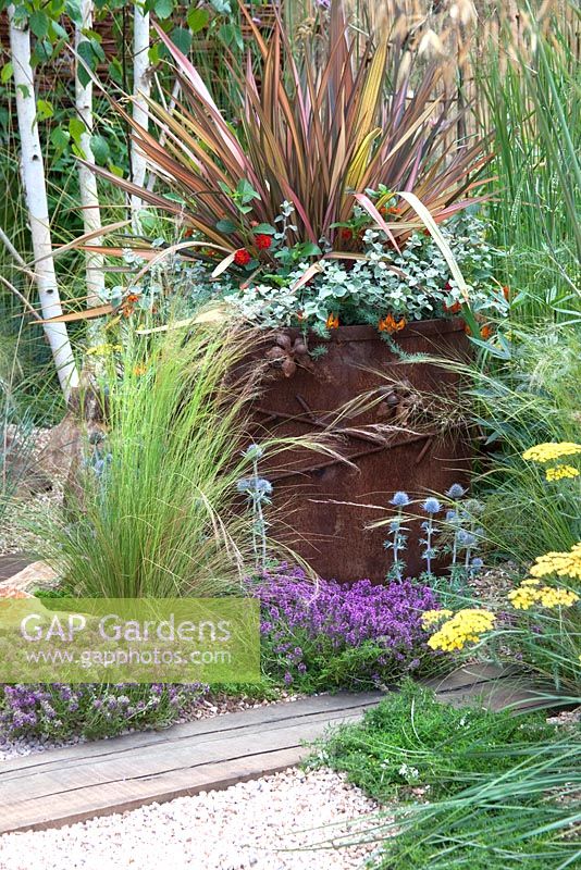 Phormium 'Pink Panther', Geum 'Cooky', Helichrysum petiolare 'Silver' in planter, Lotus berthelotii 'Fire Cracker', recycled crushed ceramic gravel planted with Thyme, Eryngium bourgatii and Betula utilis jacquemontii - 'The Fire Pit Garden' - Silver Medal Winner at the RHS Hampton Court Flower Show 2010 
