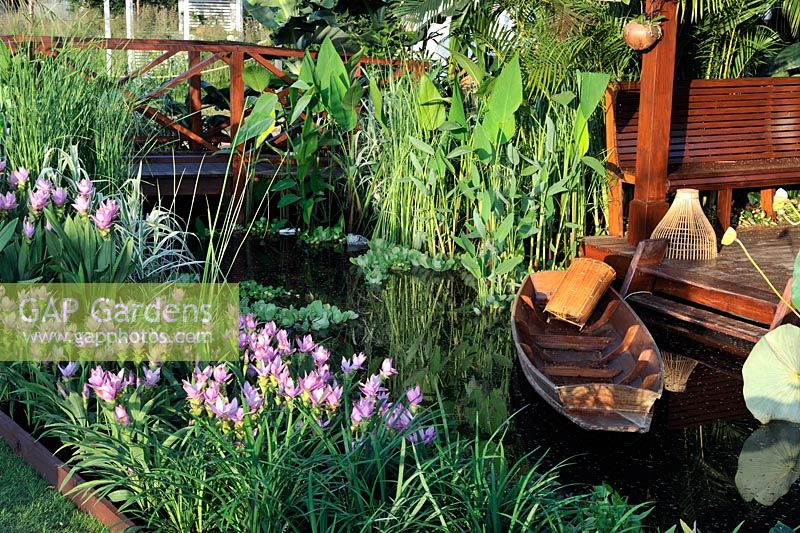 Curcuma along waters edge in a Bangkok riverside home - Reflections of Thailand - Sala Rim Nam - House by the River, Gold medal winner at RHS Hampton Court Flower Show 2010
 