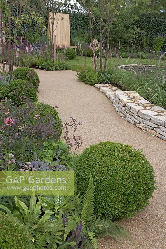 Pulmonaria, clipped Buxus ball and Salvia next to gravel path - 'The Combat Stress Therapeutic Garden', Silver medal winner, RHS Hampton Court Flower Show 2010  