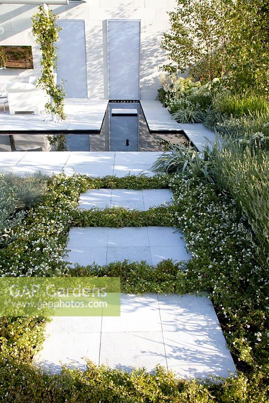 Convolvulus cneorum and Bacopa around paving stones - 'The Living Room', Silver medal winner, RHS Hampton Court Flower Show 2010 
 