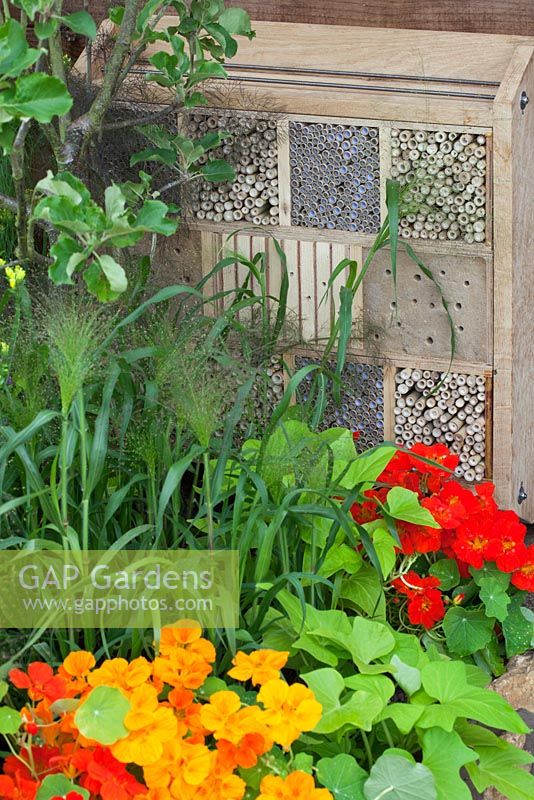 Insect boxes of various materials in the 'Home Grown' garden at RHS Hampton Court Flower Show 2010